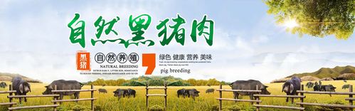 临朐县元杰生猪养殖专业合作社